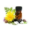 Herbal & Botanical Products