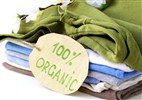 Organic Clothes