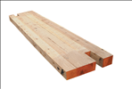 Timber & Timber Products & Plank